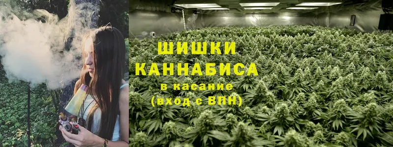 Марихуана OG Kush  Вязьма 